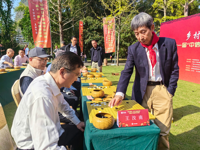 中國(guó)圍棋協(xié)會(huì)名譽(yù)主席王汝南在下指導(dǎo)棋。