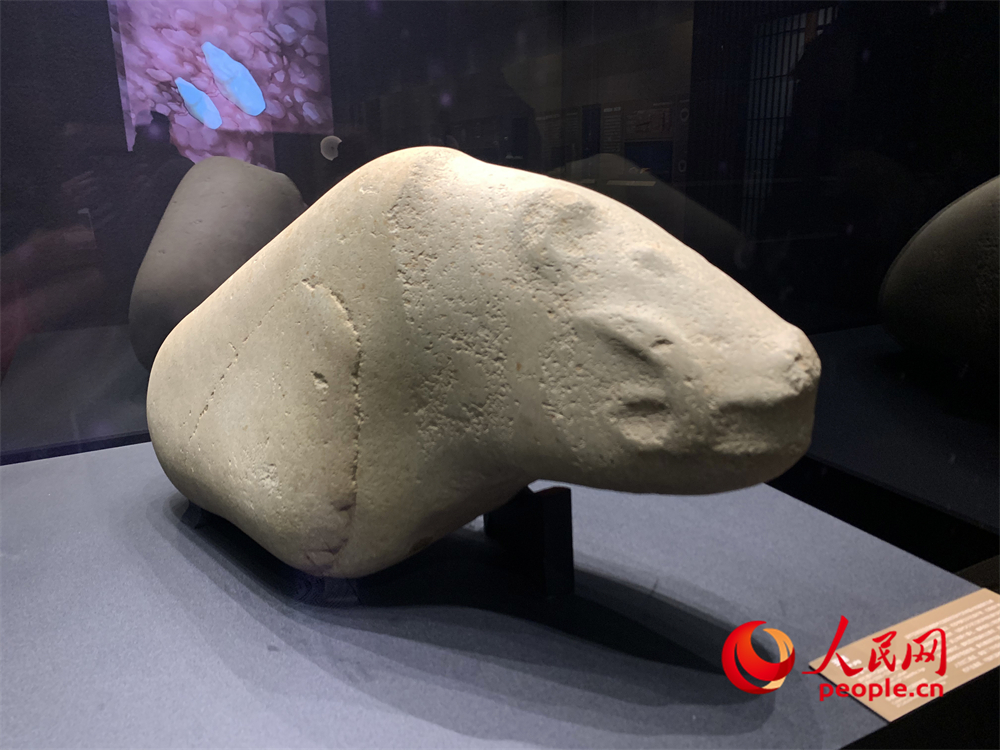 玉豬。人民網(wǎng)記者 韋衍行攝